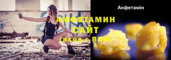 сатива Осинники
