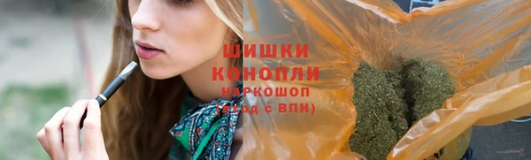 сатива Осинники