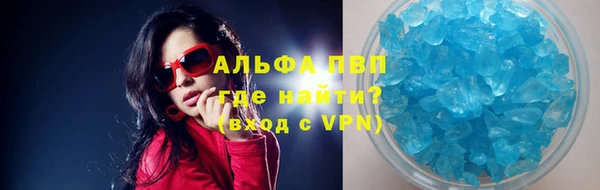сатива Осинники