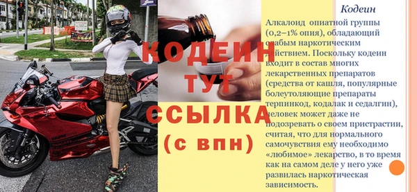 сатива Осинники