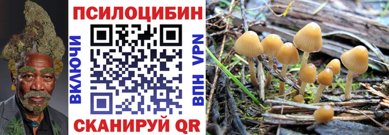 Галлюциногенные грибы MAGIC MUSHROOMS Сухиничи