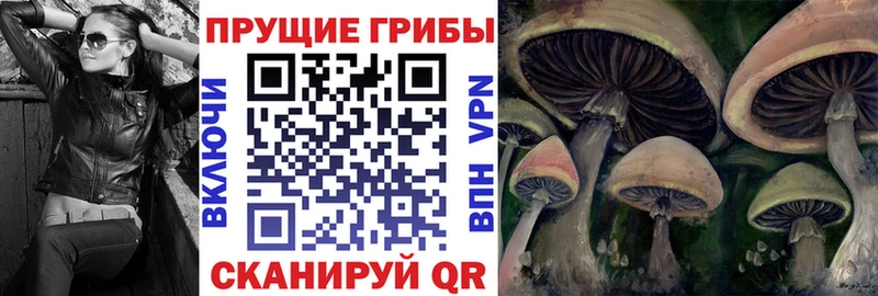 Псилоцибиновые грибы Magic Shrooms Сухиничи